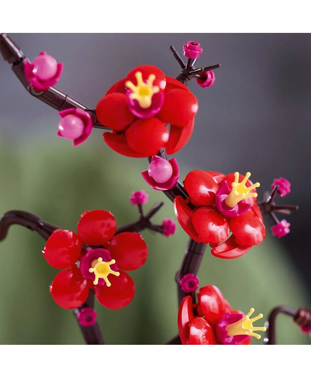 مجموعة عرض ديكور الزهور زهر البرقوق 10369 من LEGO® Botanicals - الصورة 4