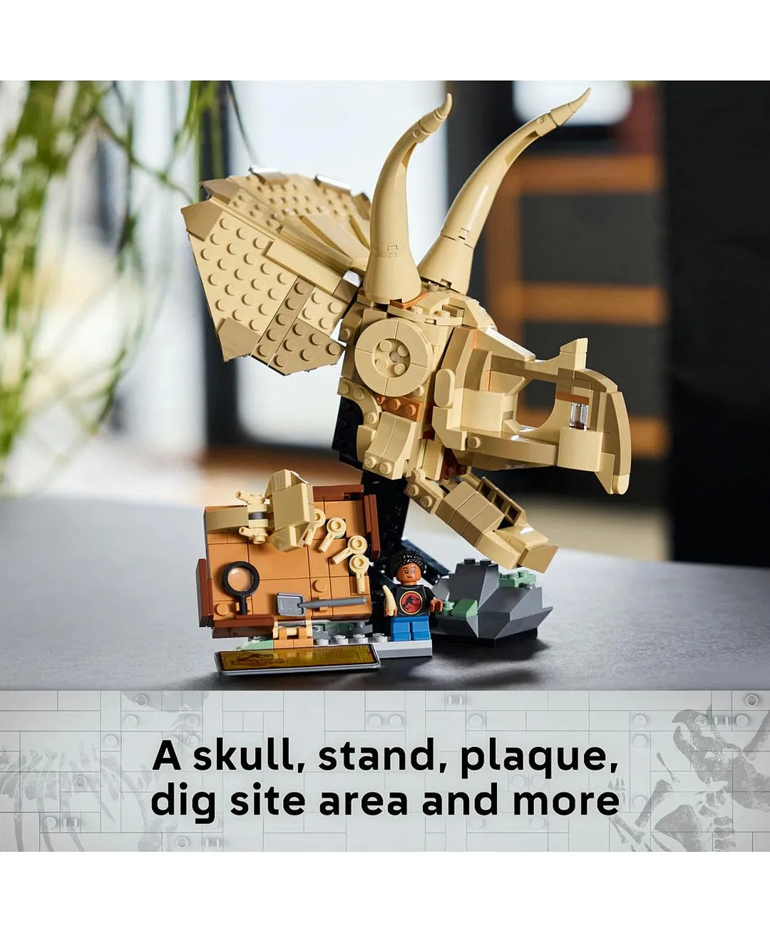 مجموعة نموذج حفريات الديناصورات: جمجمة ترايسيراتوبس من ليغو® Jurassic World، مجموعة بناء للعرض 76969 - 468 قطعة - الصورة 4