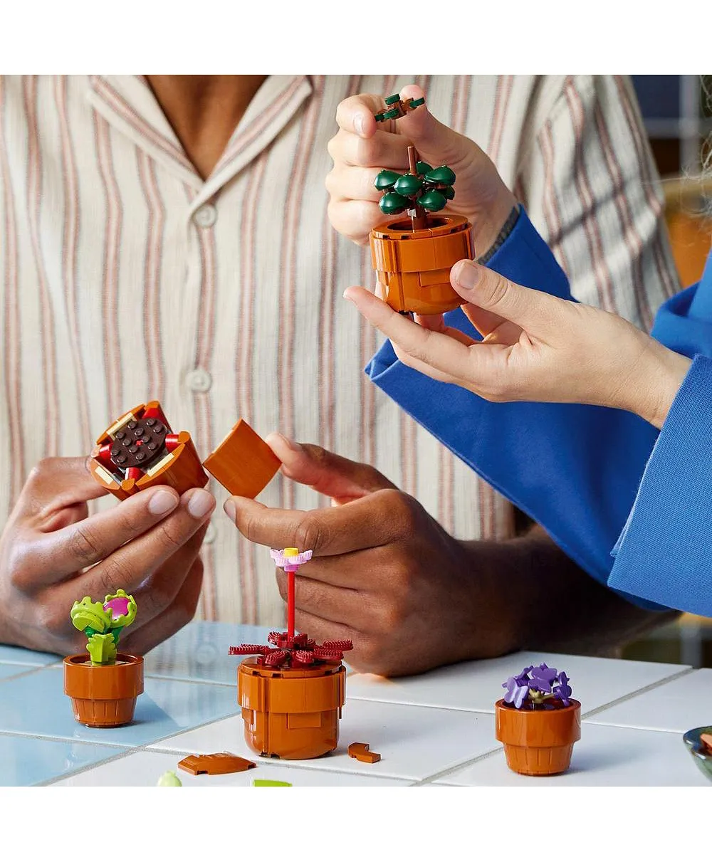 مجموعة بناء النباتات الصغيرة 10329 للبالغين من LEGO® Botanicals - الصورة 6