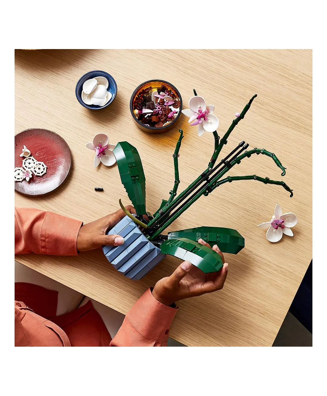 مجموعة التزيين بزرع الأوركيد 10311 من ®LEGO (608 قطعة) - الصورة 4